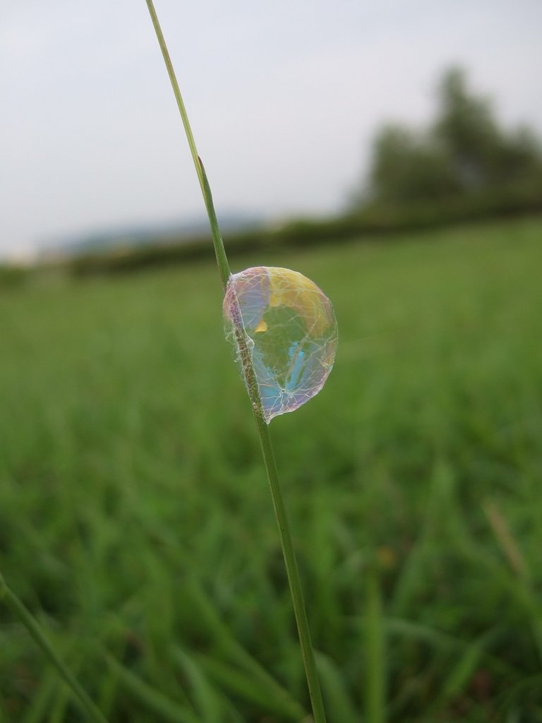 これは、何か教えて下さい。