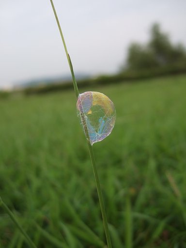 これは、何か教えて下さい。