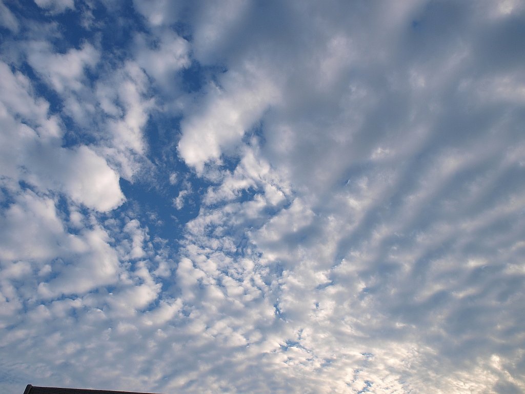 秋空・・・
