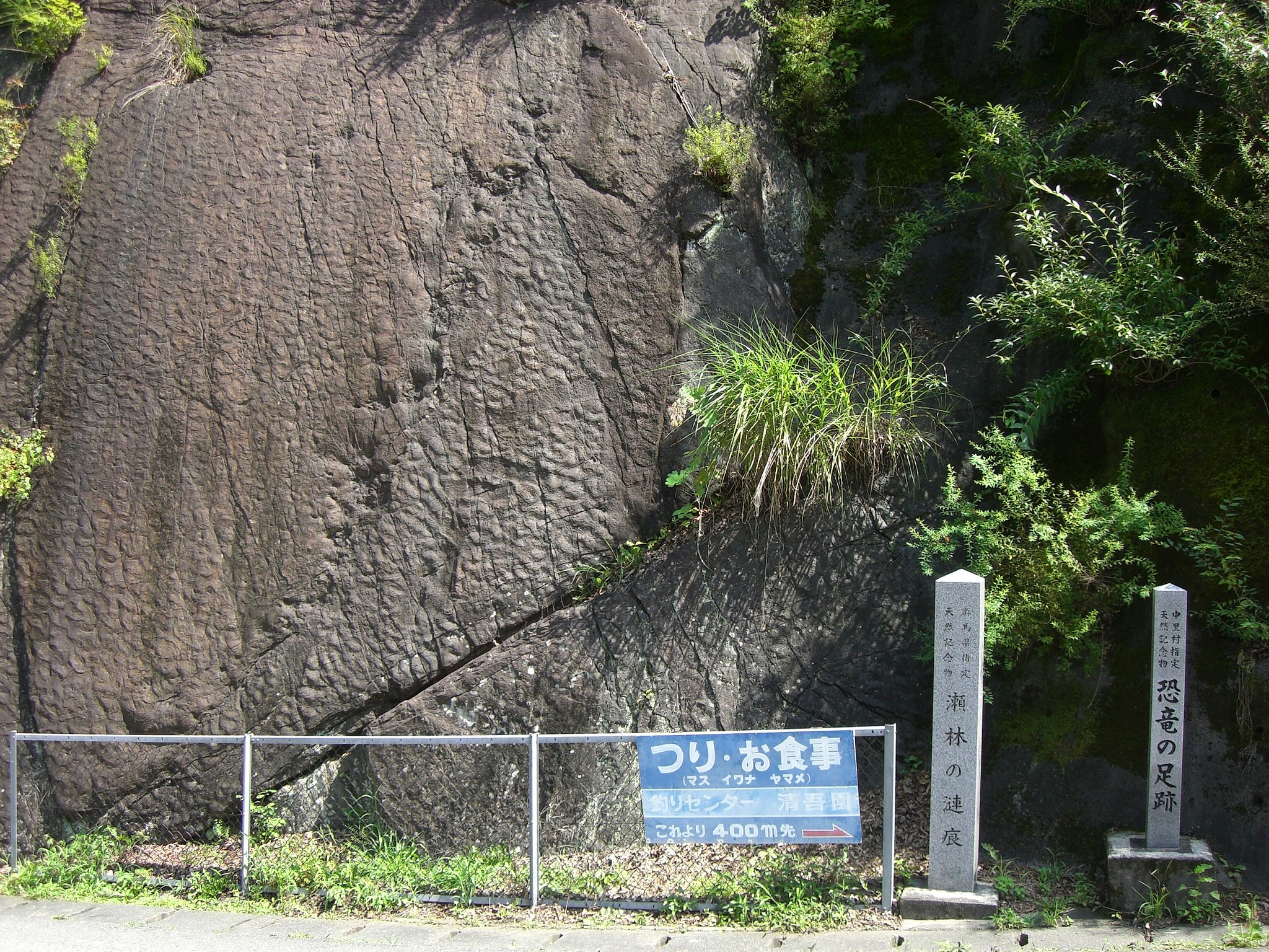 恐竜の足跡！？