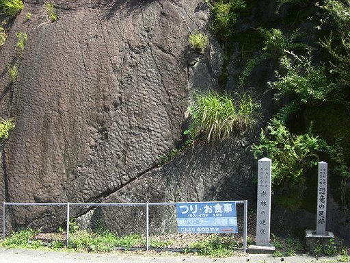 恐竜の足跡！？