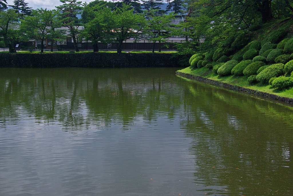 盛夏のお堀の涼しげな佇まい