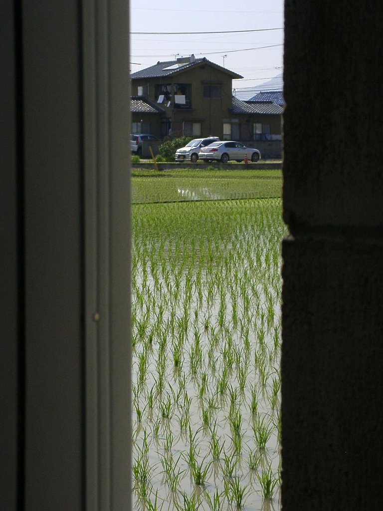 覗き
