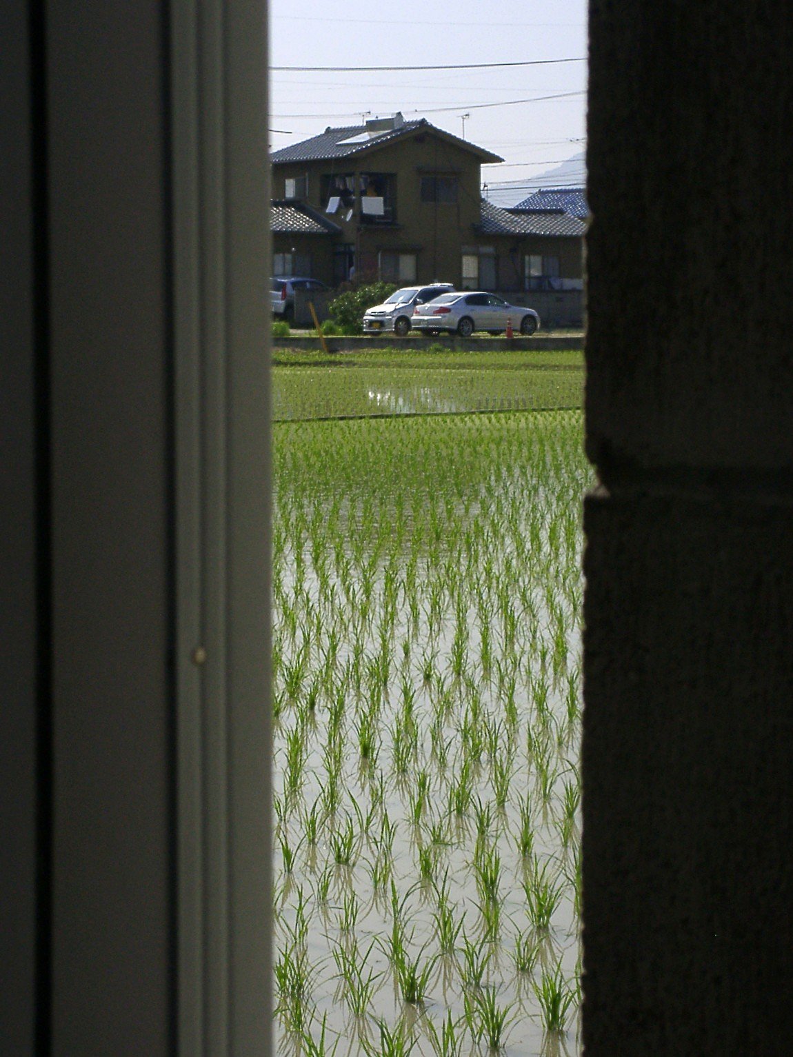 覗き