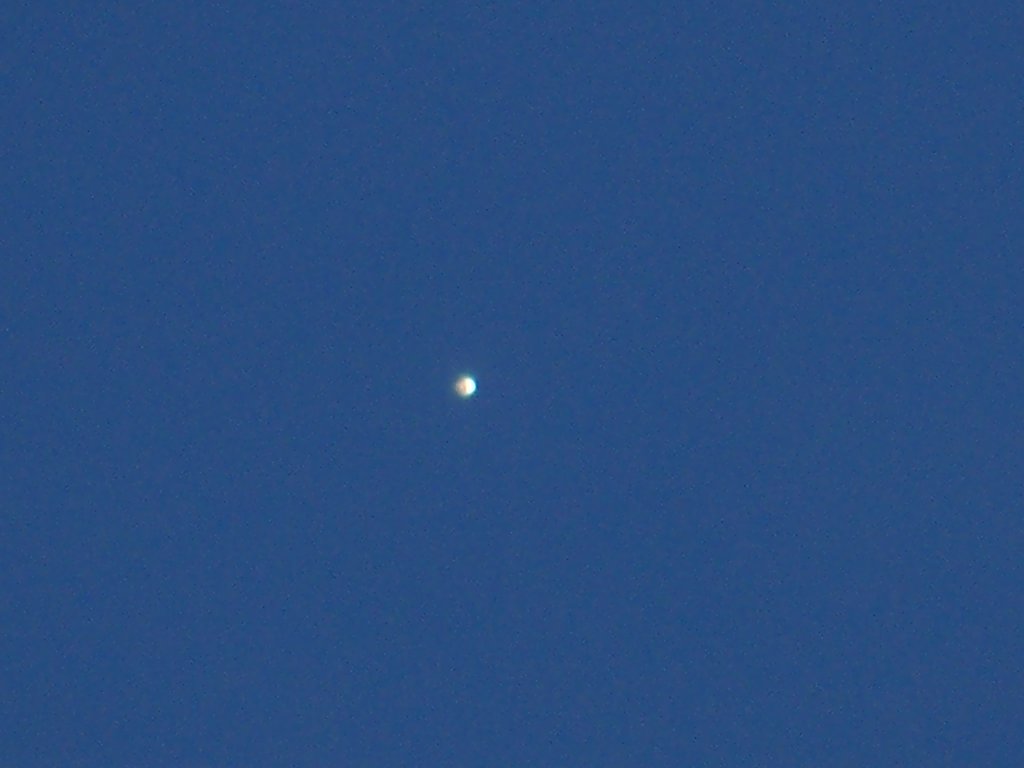 金星