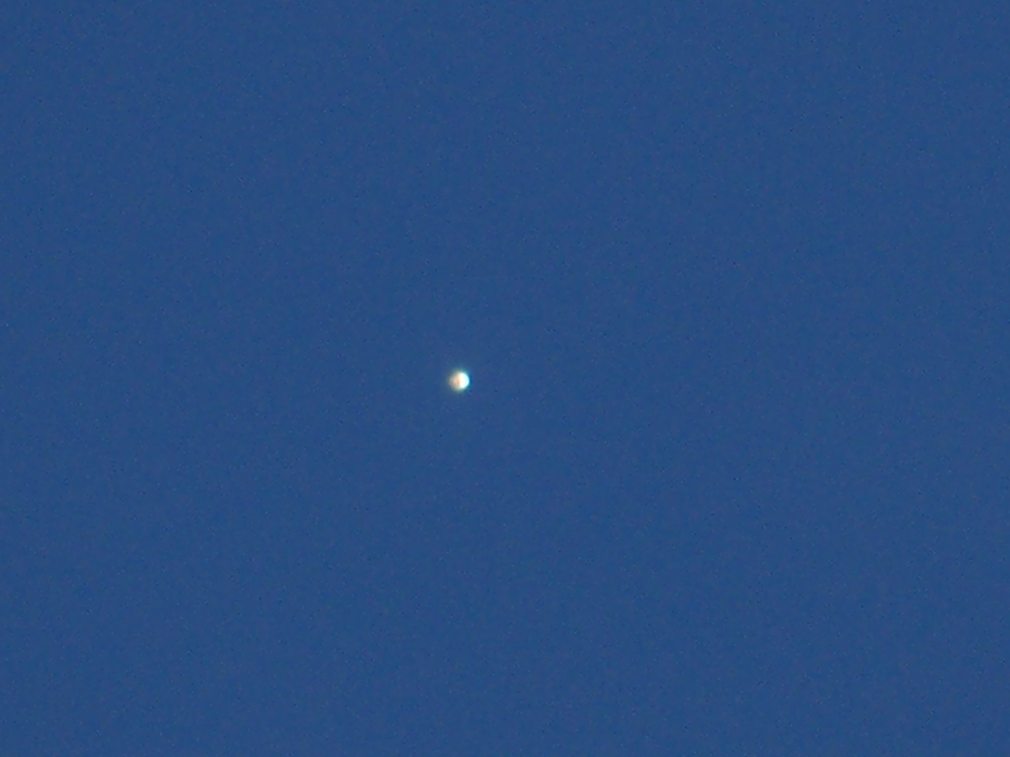 金星