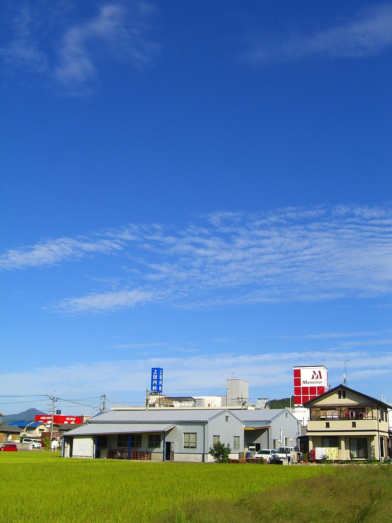 秋晴れ