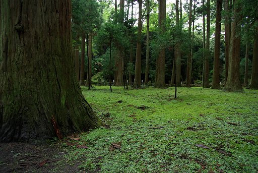 瑞巌寺参道