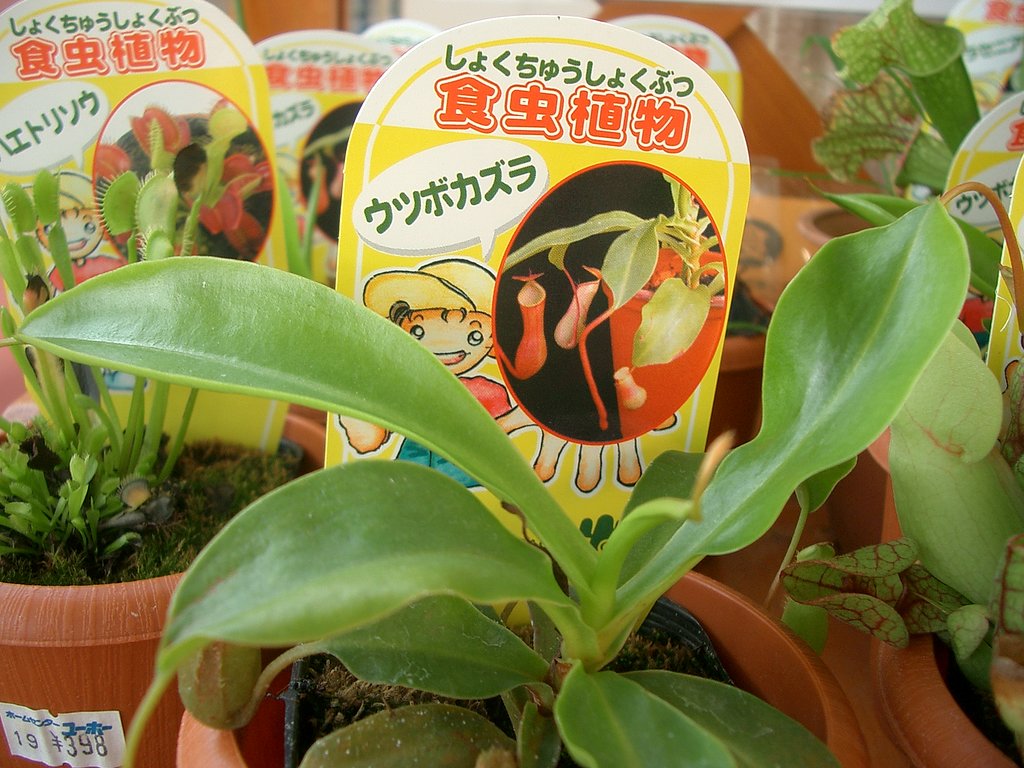 時代は変わる