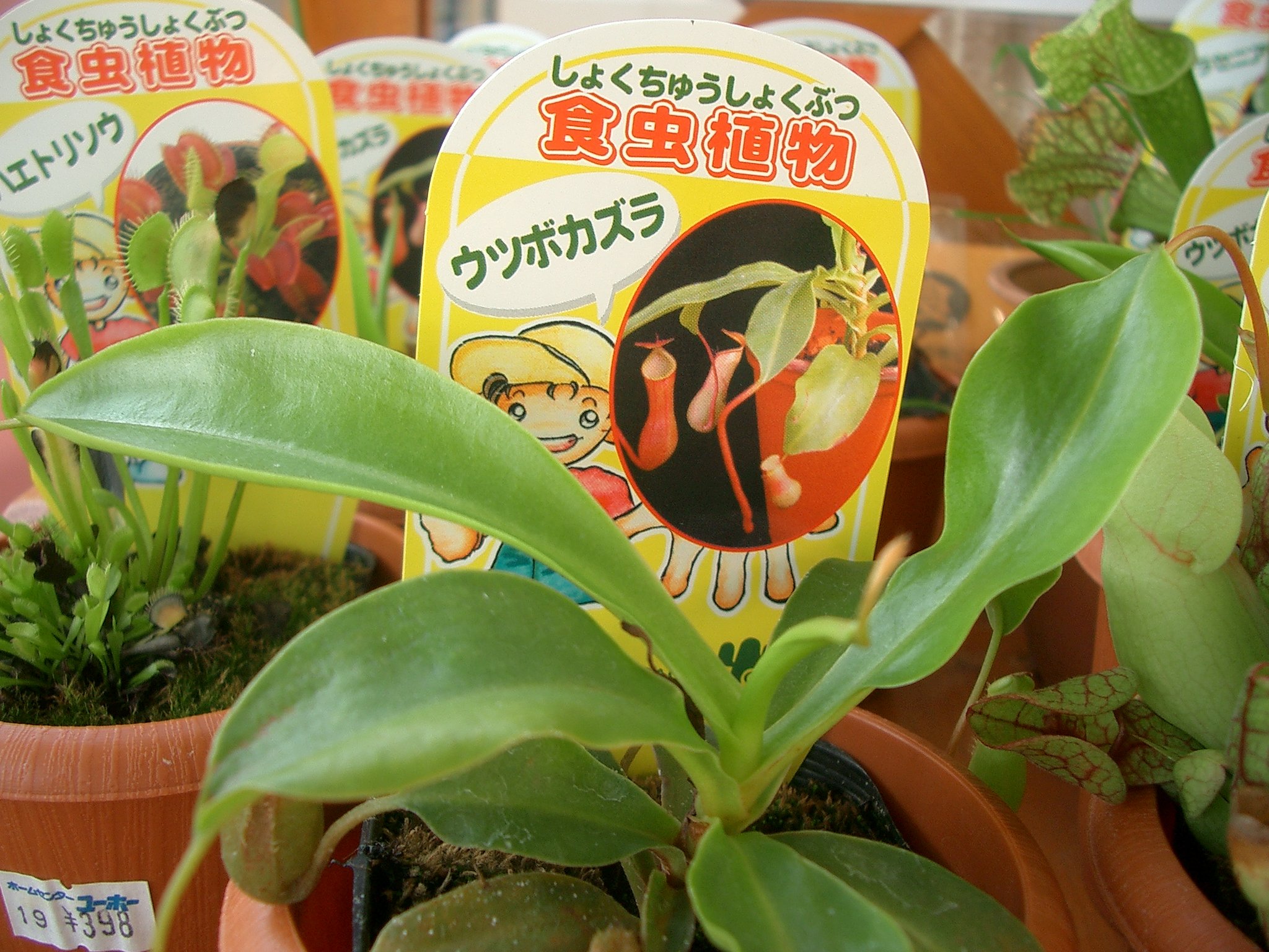 時代は変わる