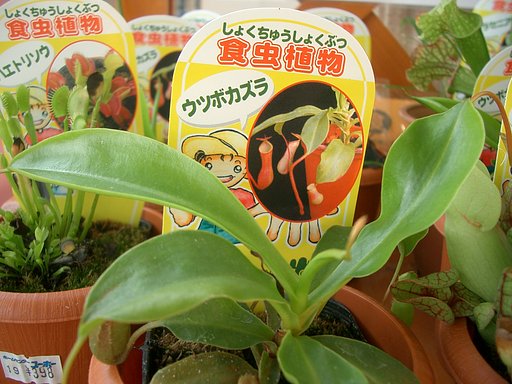 時代は変わる