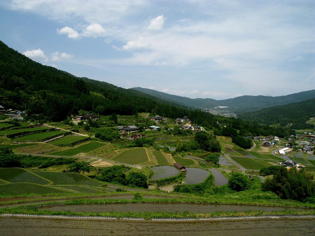 棚田