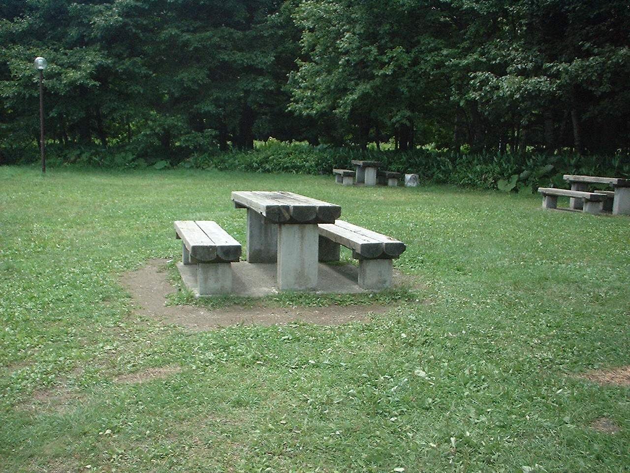 キャンプー