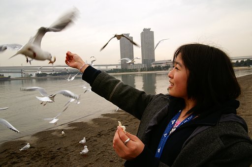 カモメと!
