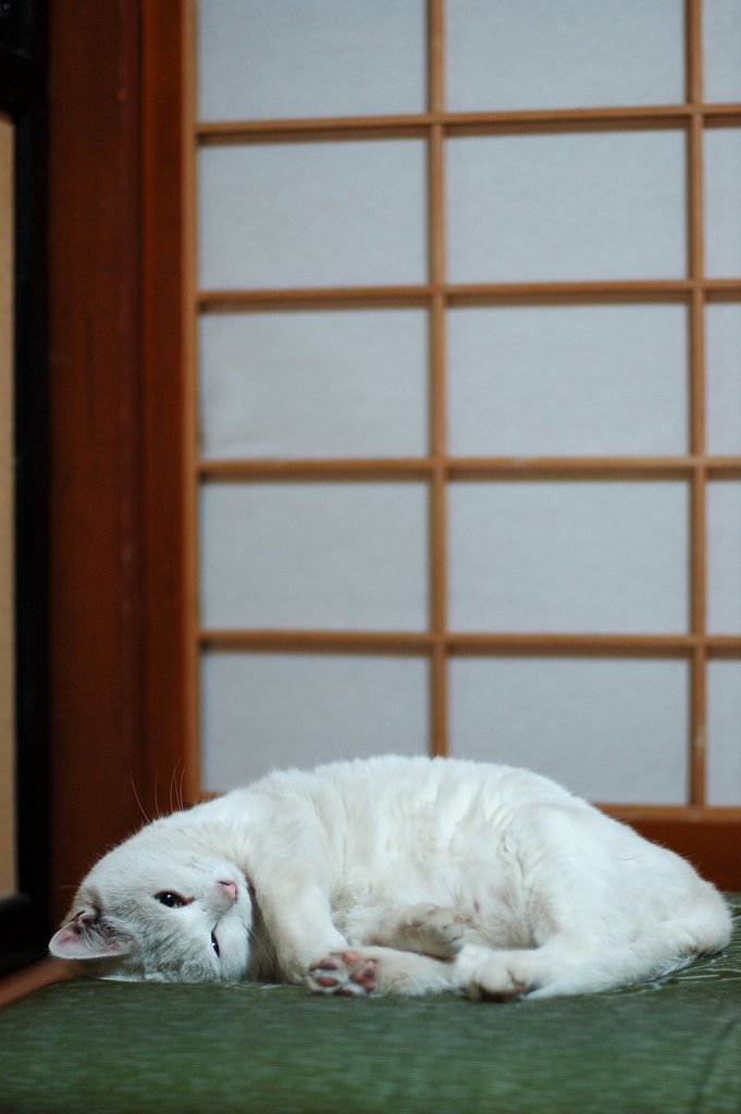 安らぎの場所