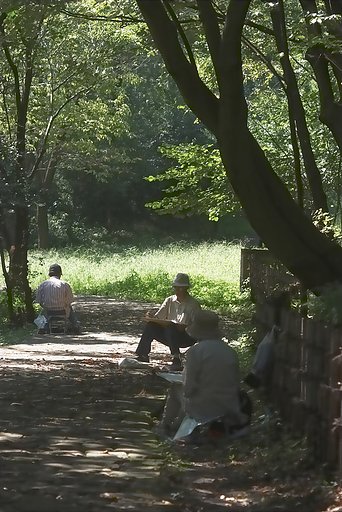 芸術の秋到来