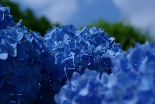 今日も晴れ−−っ！