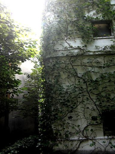 廃校の風景