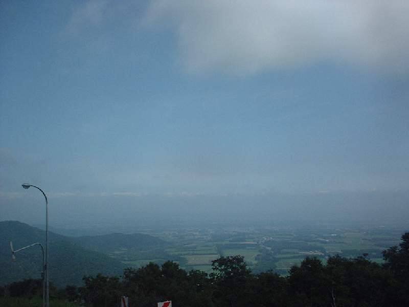 撮ってみたけどぉ・・・