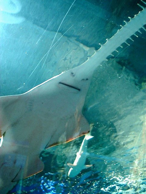 怒ってる？