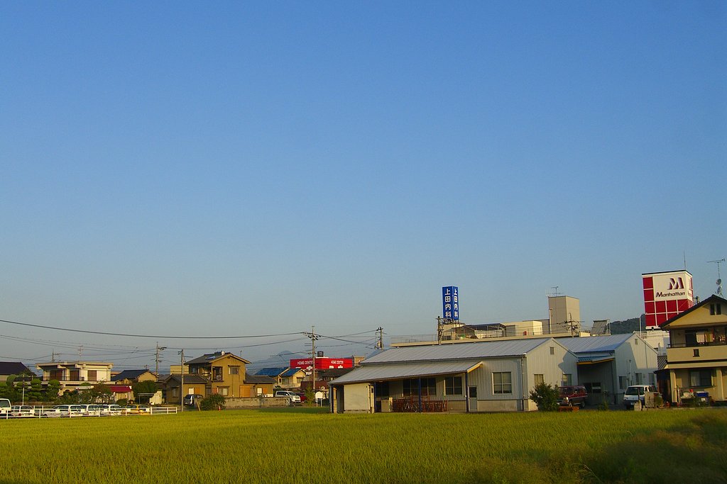 秋晴れ