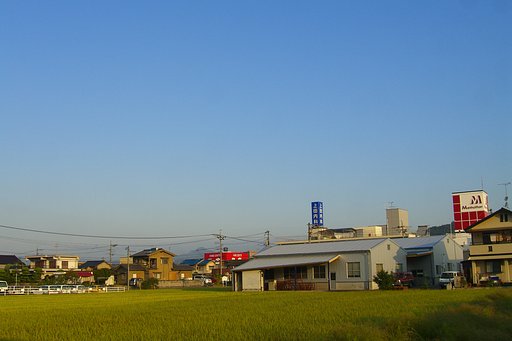 秋晴れ