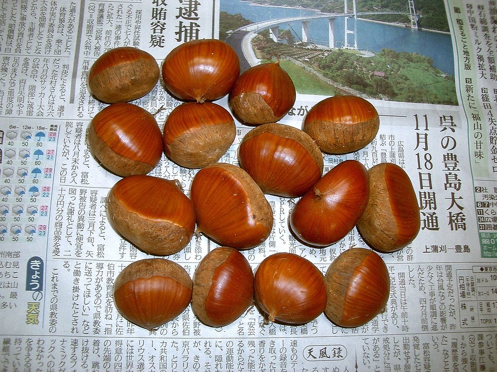秋の味覚