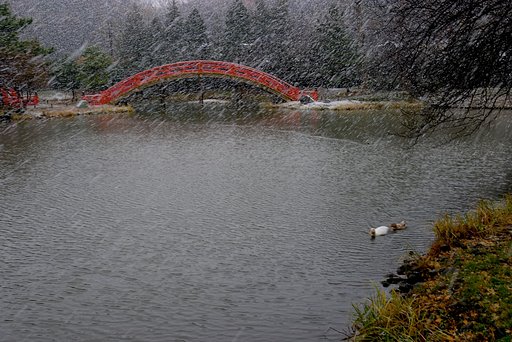 横浜も雪