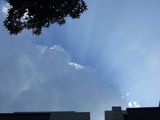 盛夏1