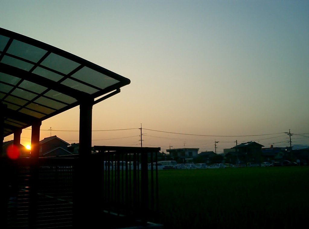 太陽