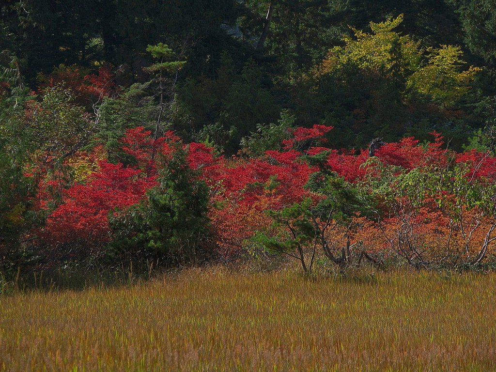 上田代の秋