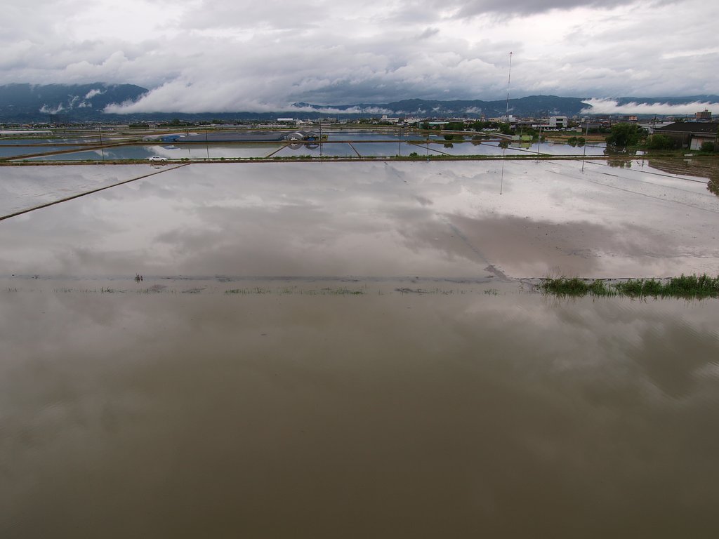 大雨警報発令中！