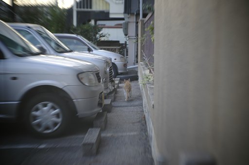 退却