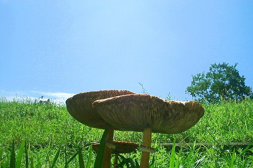 秋の気配３