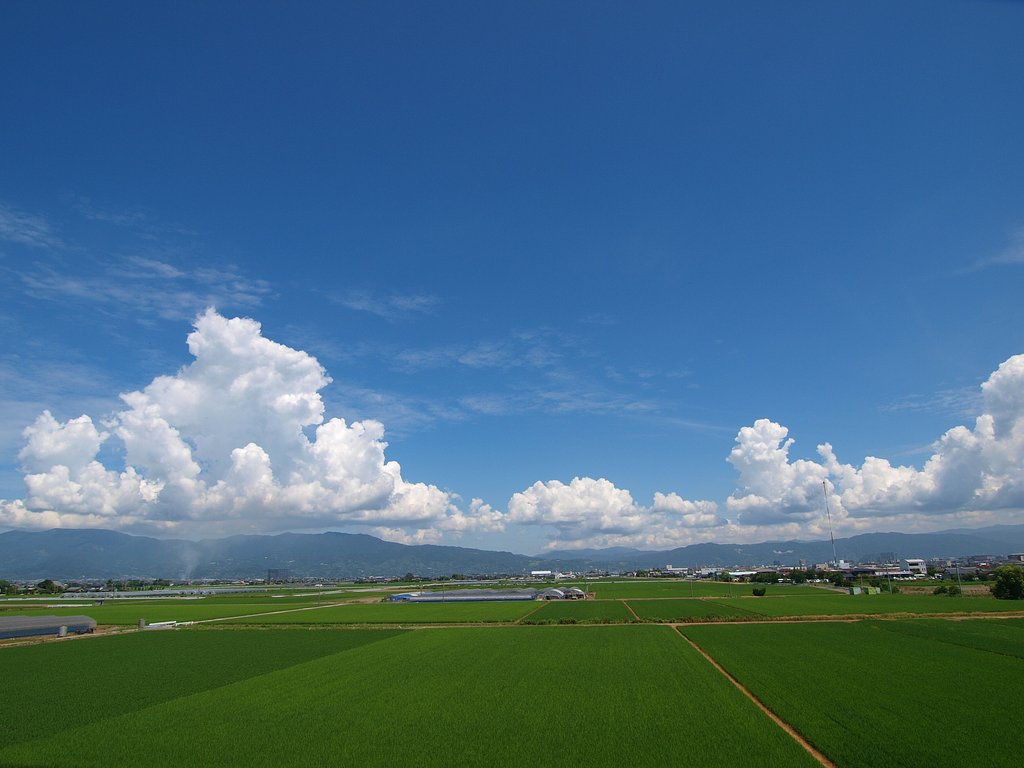夏の空