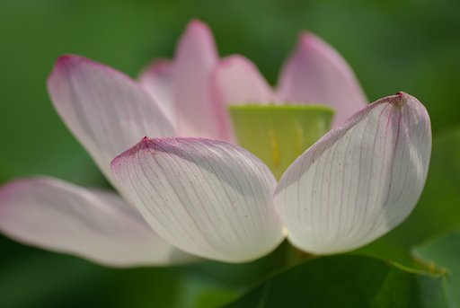 真夏色その４