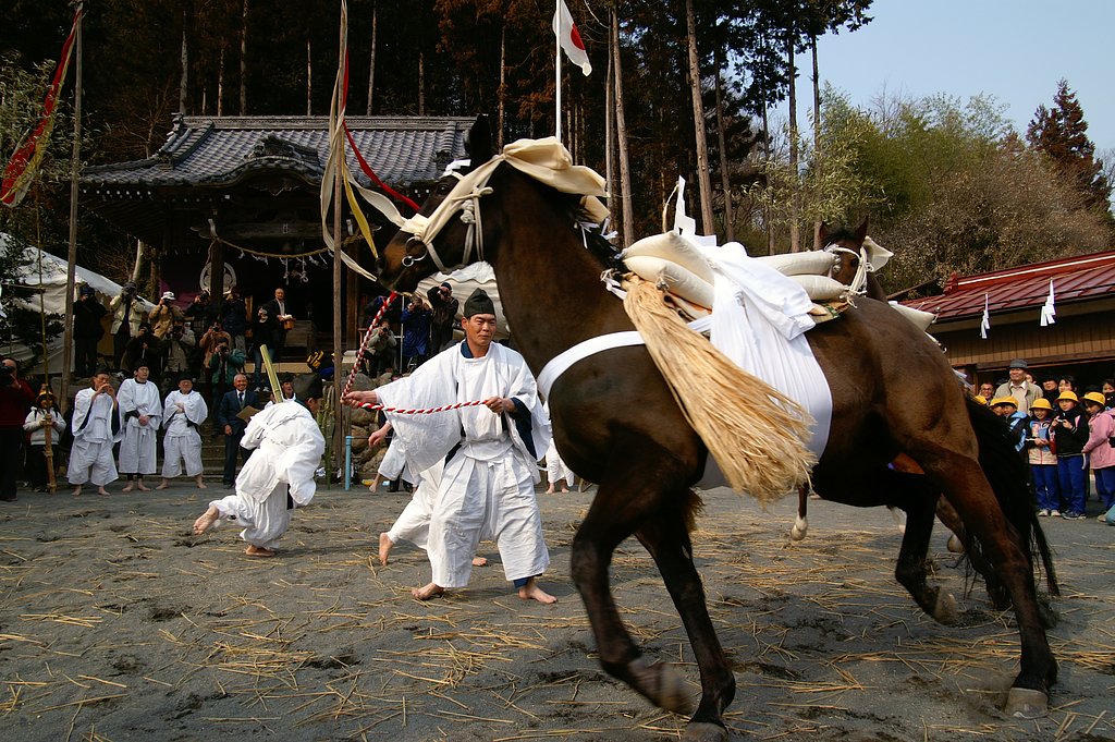 お田植え祭り　Ⅱ