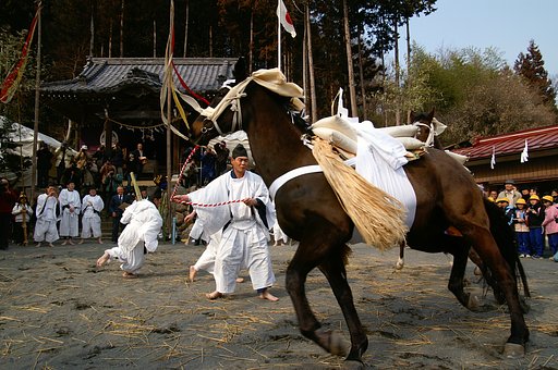 お田植え祭り　Ⅱ