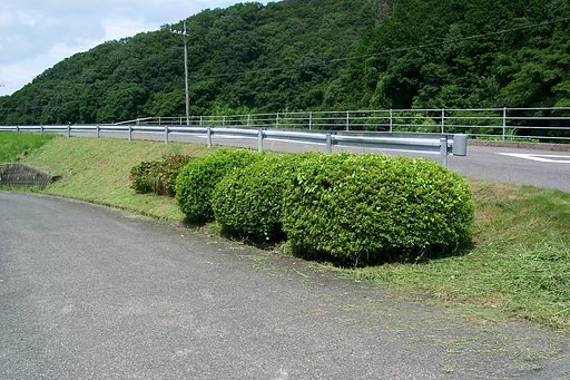 長谷橋バス停付近草刈、夏の部