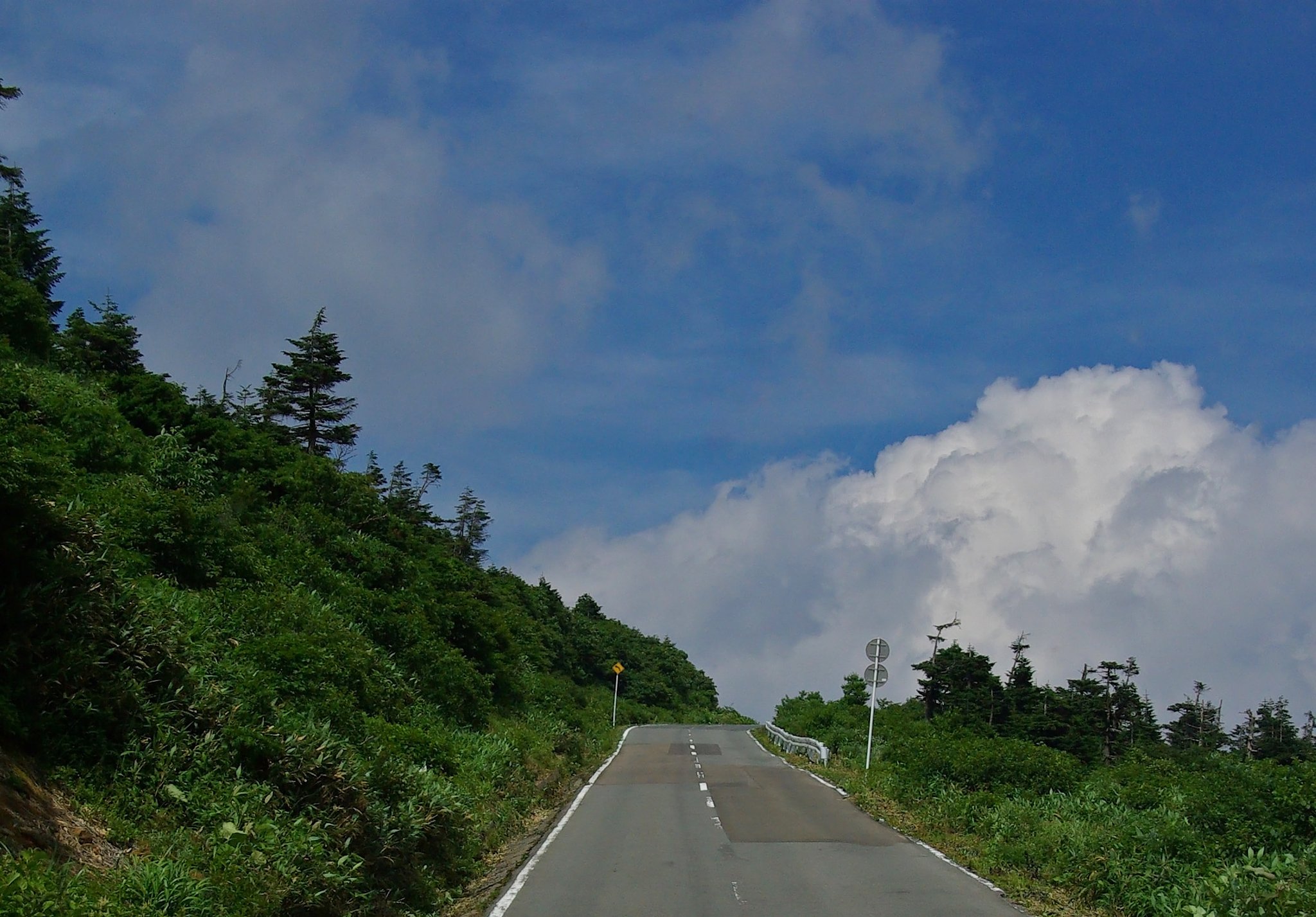 夏の山頂への道