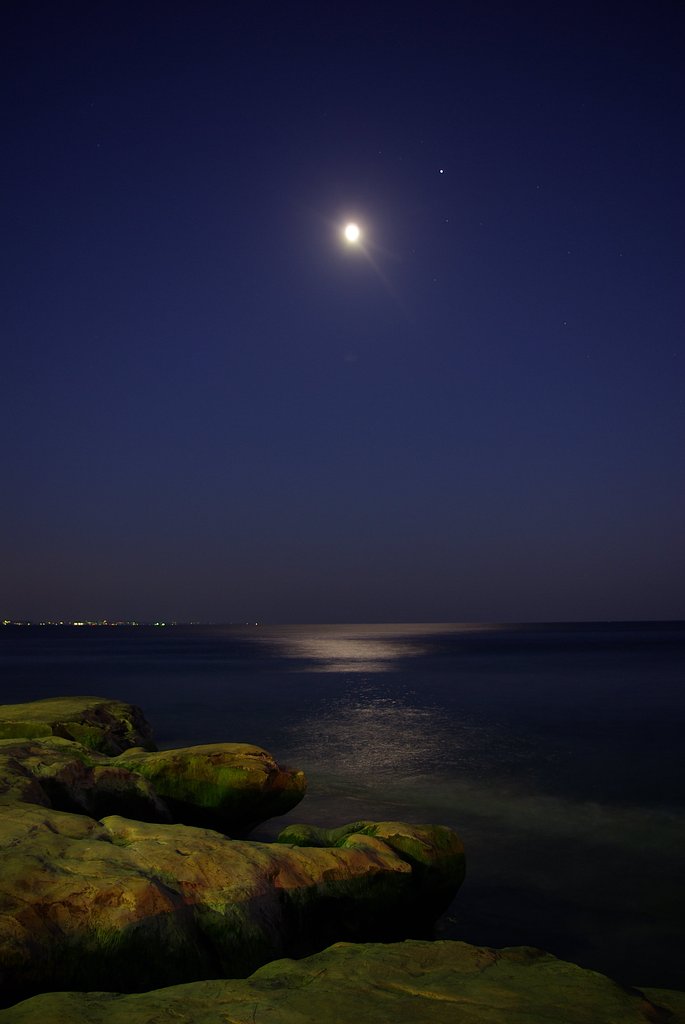 月と星と水の惑星