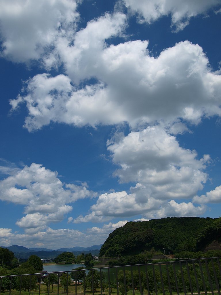 夏の空Ⅱ