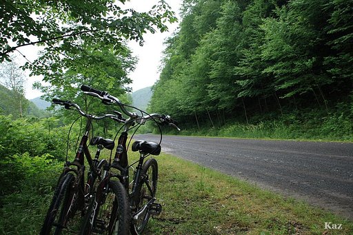 自転車道