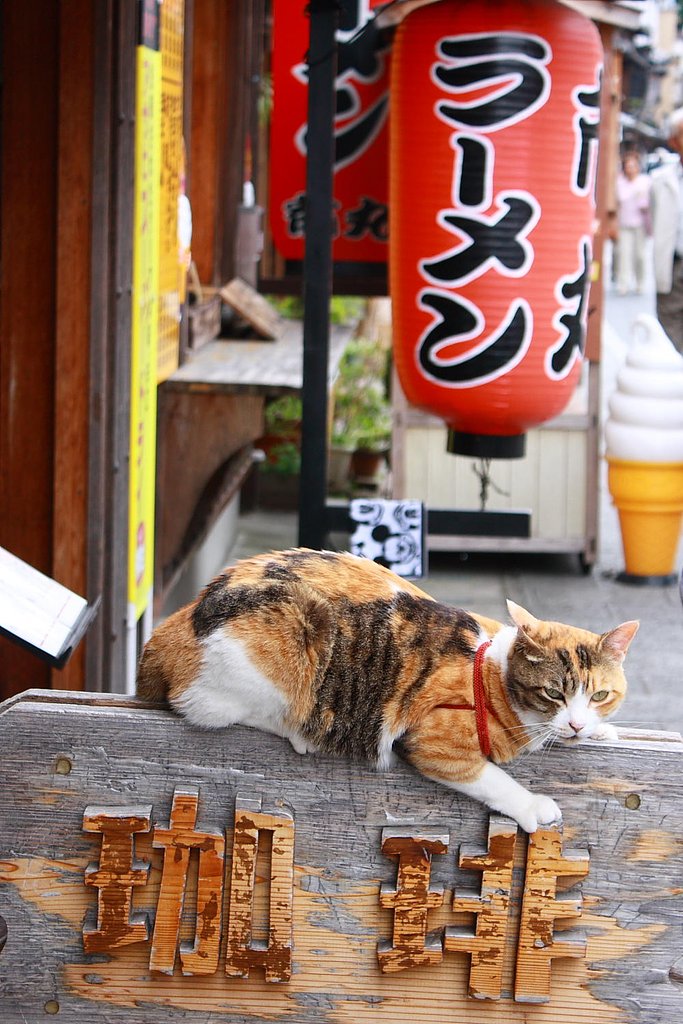 目でセールス！？