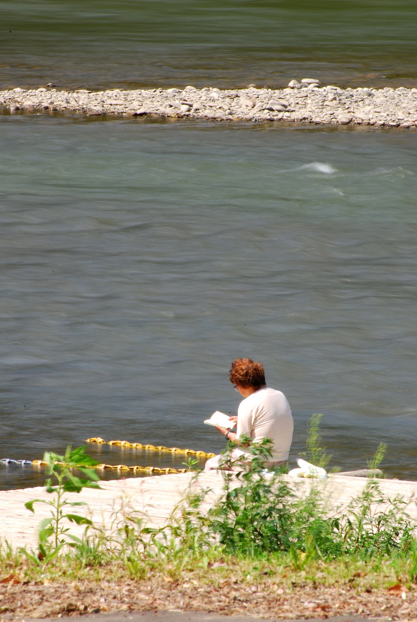 読書