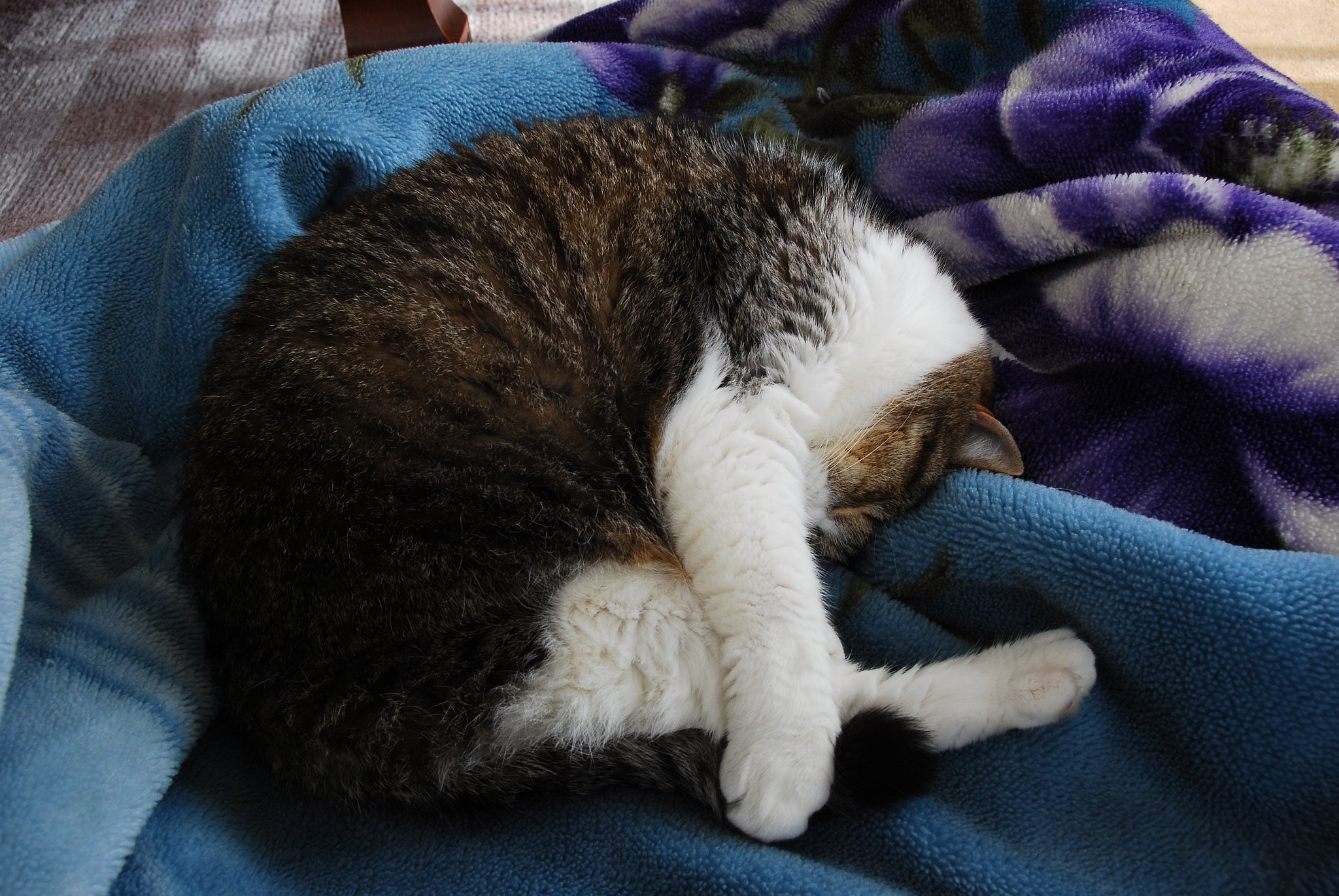 専用ベッドでひと眠り