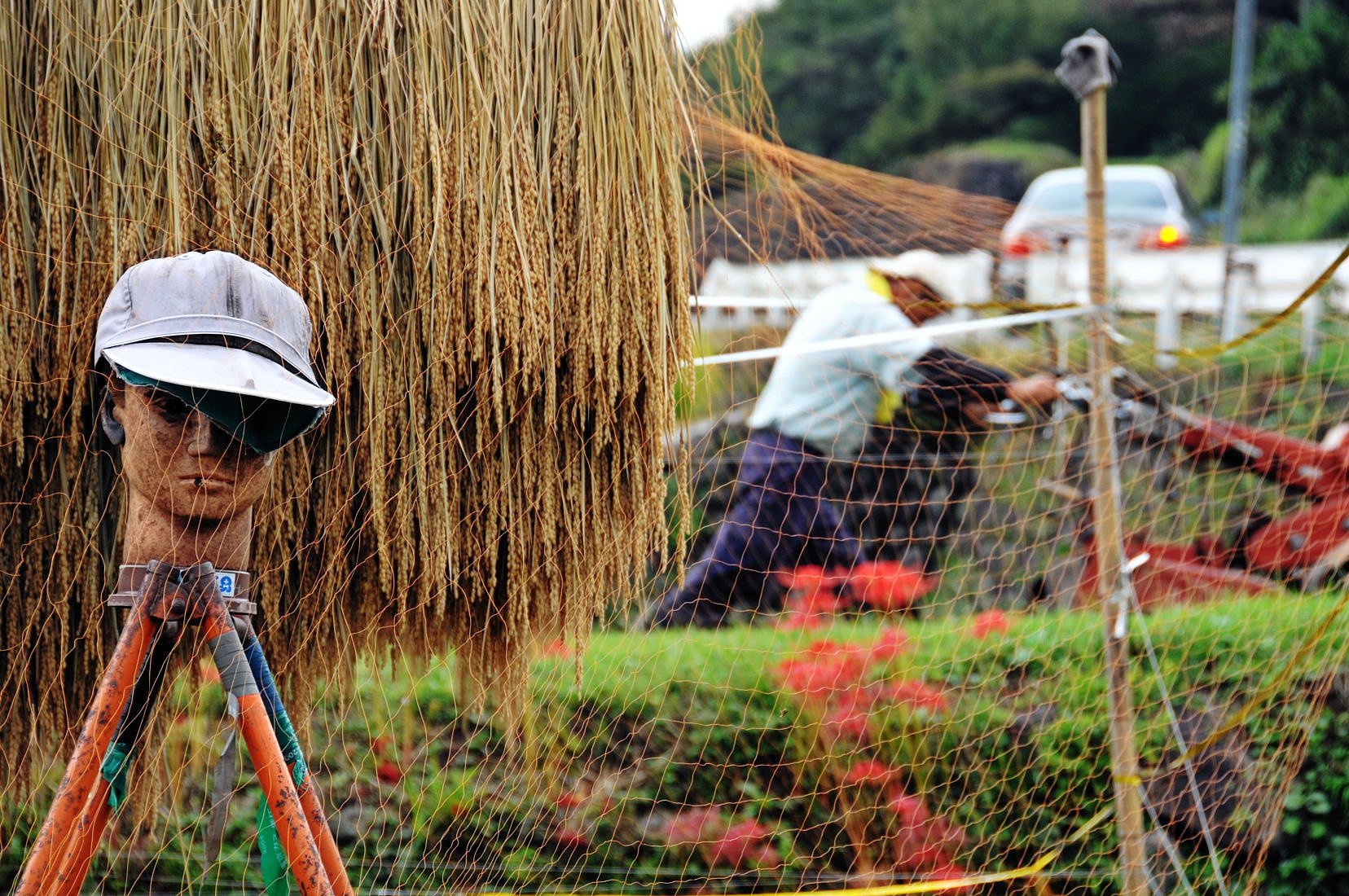用 心 棒