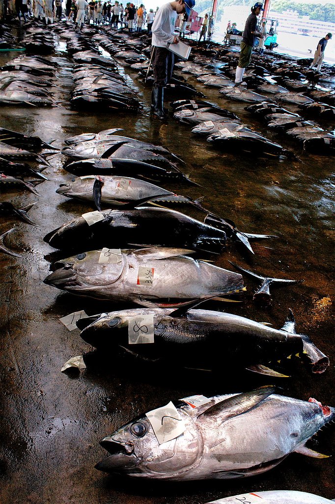【瞬】　決める！