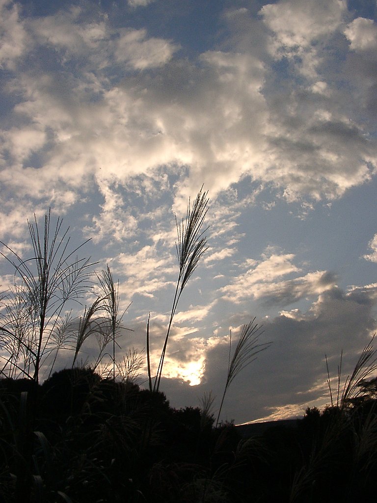 ◆秋の夕暮れ-12