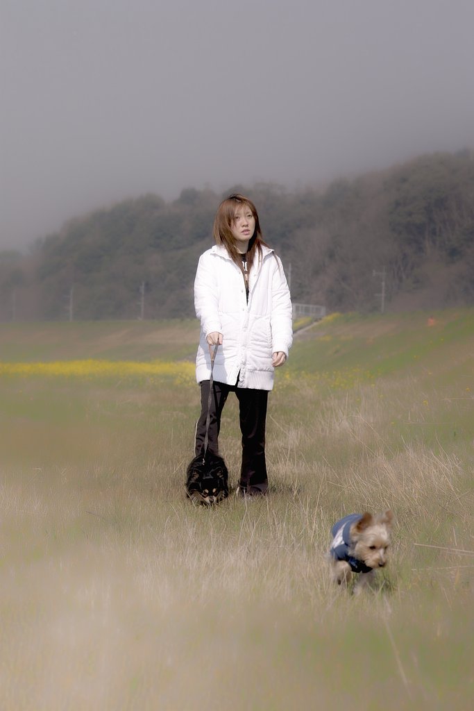 SPPの範囲内でいじくり